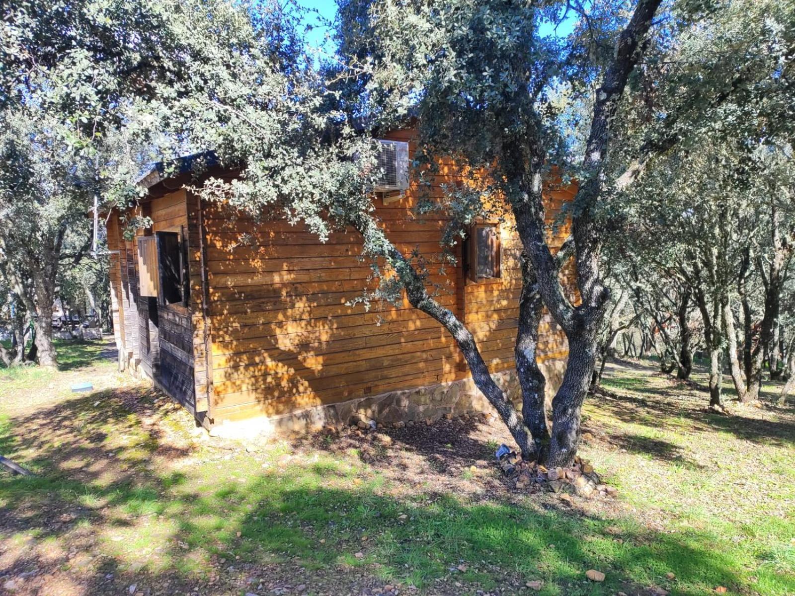 Nuevo Ecolodge Cabaneros Retuerta de Bullaque Ngoại thất bức ảnh